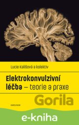 Elektrokonvulzivní léčba – teorie a praxe
