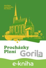 Procházky Plzní