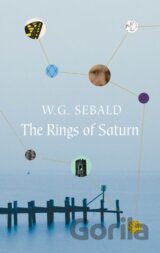 The Rings of Saturn