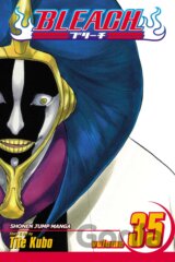 Bleach 35
