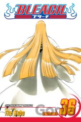 Bleach 36