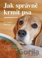 Jak správně krmit psa