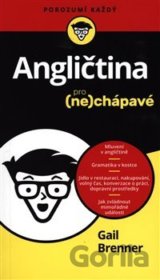 Angličtina pro (ne)chápavé