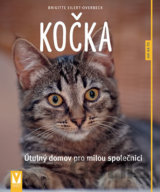 Kočka