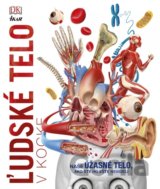 Ľudské telo v kocke