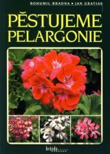 Pěstujeme pelargonie
