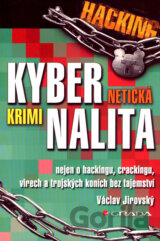 Kybernetická kriminalita
