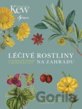 Léčivé rostliny na zahradu