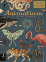 Animalium