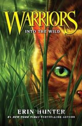 Warriors 1: Into the Wild