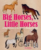 Big Horses, Little Horses