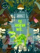 Co skrývá noc