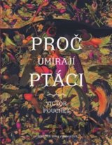Proč umírají ptáci