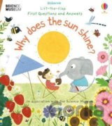 Why Does the Sun Shine?