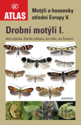 Drobní motýli I.