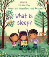What is Sleep?