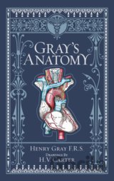 Gray's Anatomy