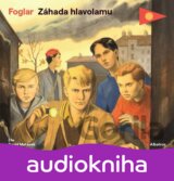 Záhada hlavolamu