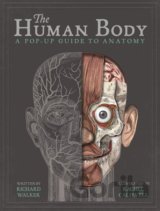 The Human Body