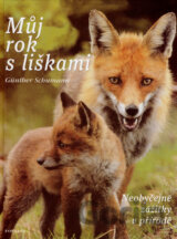 Můj rok s liškami