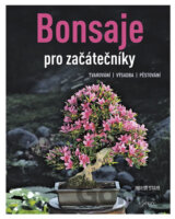 Bonsaje pro začátečníky