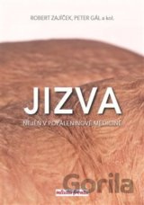 Jizva nejen v popáleninové medicíně