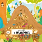 Čo sa deje v mravenisku