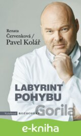 Labyrint pohybu