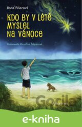 Kdo by v létě myslel na Vánoce
