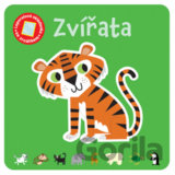 Zvířata