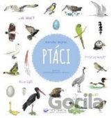 Ptáci