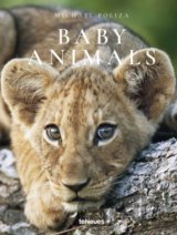Baby Animals