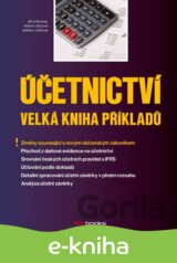 Účetnictví – Velká kniha příkladů
