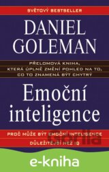 Emoční inteligence
