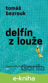 Delfín z louže