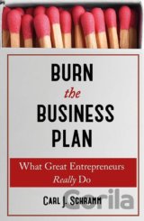 Burn the Business Plan