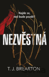 Nezvěstná