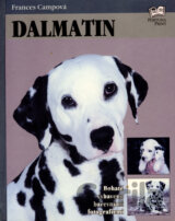 Dalmatin