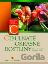Cibulnaté okrasné rostliny