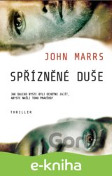 Spřízněné duše