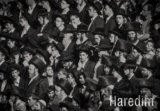 Haredim
