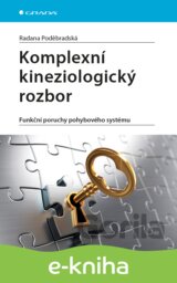 Komplexní kineziologický rozbor