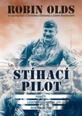 Stíhací pilot