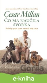 Čo ma naučila svorka