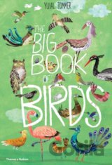 The Big Book of Birds