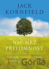 Nic než přítomnost