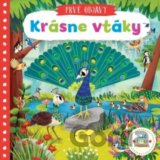 Krásne vtáky