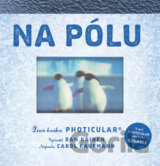 Na pólu