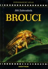 Brouci