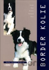 Border kolie